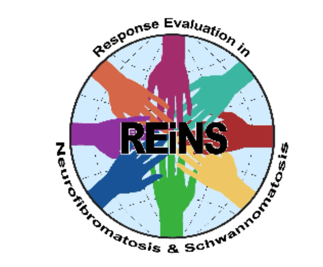 REiNS Logo